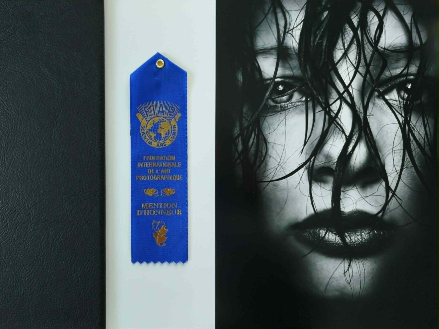 FIAP Blue Ribbon - II. mezinárocní soutěž Czech Art Photo